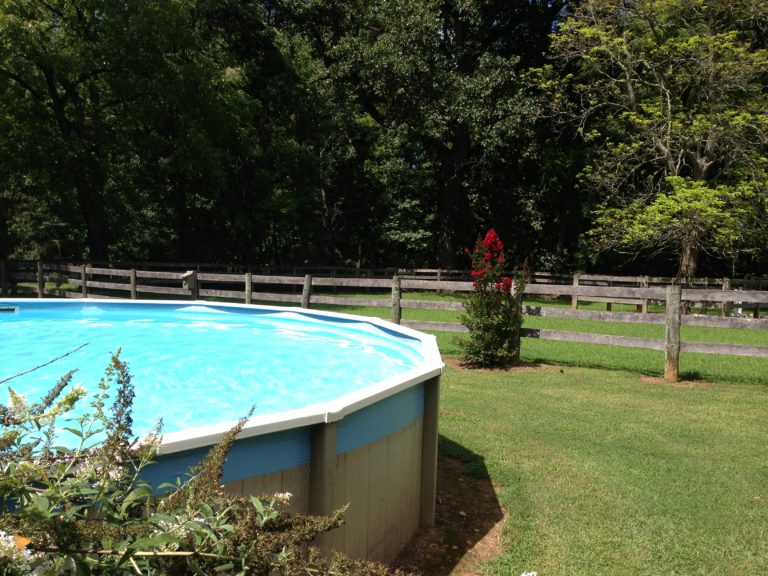 Backyard swimming pool