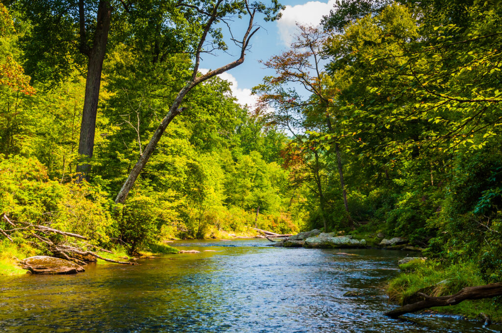 Gunpowder Falls in Baltimore County